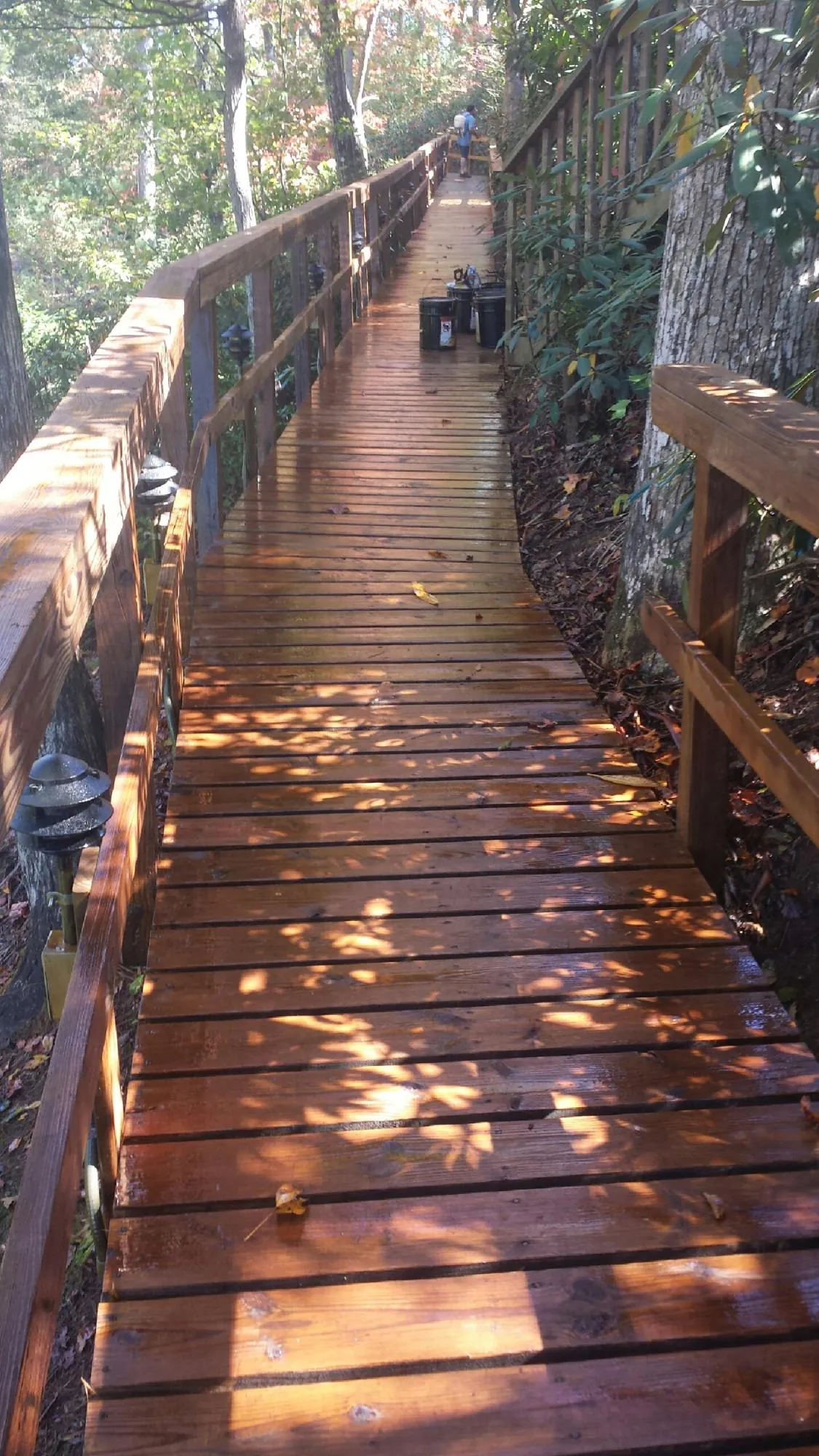 Freshly stained wood walkway winding through the woods in Slaughters