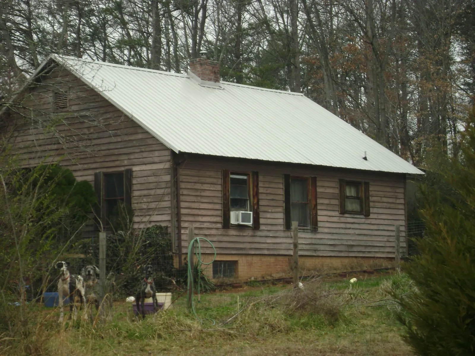 White metal roof on an old wood sided farmhouse, from a Asphalt Shingle Roof Repair job in Slaughters